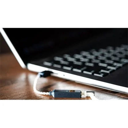 ifi GO LINK 2 2.0 USB-C DAC